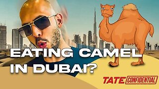 EATING CAMEL IN DUBAI | TATE CONFIDENTIAL EP. 140