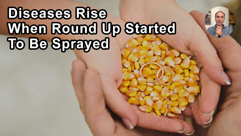 More Than 30 Diseases In The US Seemed To Have A Bump Up When Round Up Started To Be Sprayed On GMO