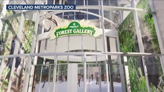 Cleveland Zoo expands RainForest to create Primate Forest