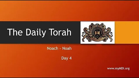 Noach / Noah - Day 4