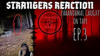 Strangers Reaction. Paranormal Caught On Tape. Paranormal Investigator Reacts. Episode 3