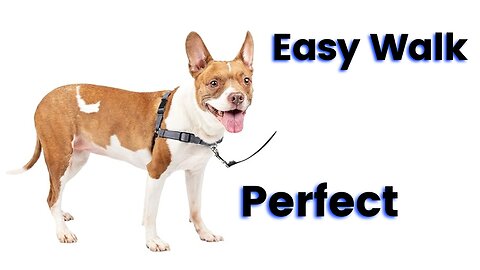Easy Walk Deluxe Dog Harness, No Pull Dog Harness – Perfect for Leash & Harness Training