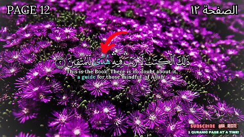 Quran Page: 12 :القرآن الكريم الصفحة #beautifulquran #اكسبلور #قران_كريم# #BA_Recite