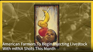 American Farmers To Begin Injecting Livestock With mRNA Shots This Month
