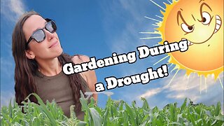 How to Keep Your Garden Growing During a Drought