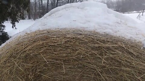 RoundBale Dumped Snow in my lap.