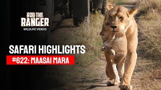 Safari Highlights #622: 29th August 2021 | Maasai Mara/Zebra Plains | Latest Wildlife Sightings