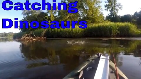 Catching Dinosaurs on Frogs