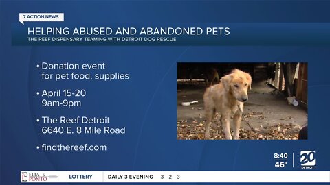 The Reef marijuana dispensary, Detroit Dog Rescue team up to help animals