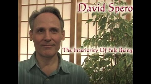 David Spero - The Interiority Of Felt Being