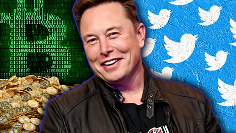 Did Elon Make The Right Decision?