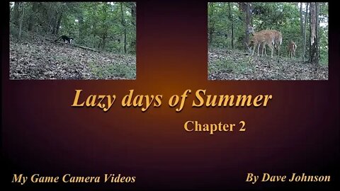 Lazy days of Summer chapter 2