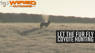 Let The Fur Fly Coyote Hunting