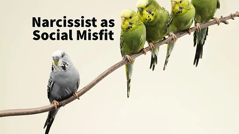 Narcissist as Social Misfit