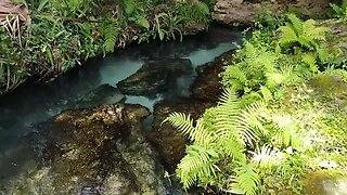 Rock Springs, Kelly Park, Florida