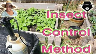 #insectpests #pestcontrol #tipsandtricks - #catshobbycorner