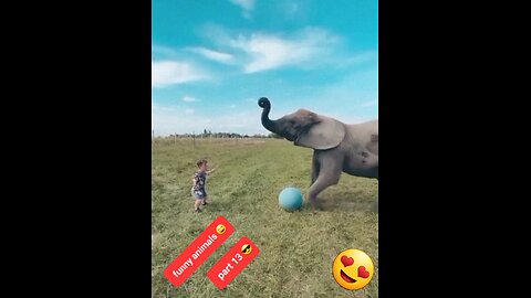 Funny animals 😄 part 13 | Animals playing with humans | Elephant playing football ⚽️