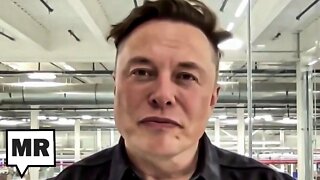 Elon Musk Nuking Twitter Could Sabotage Midterm Elections