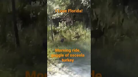 morning ride turkey!!