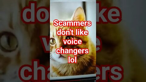 scammers don't like voice changers #scammer #scams #voicechanger