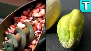 How do Pistachios Grow? | How they Grow Ep.1