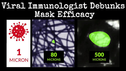 Viral Immunologist Debunks Mask Efficacy