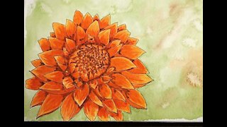 Fall Flower Watercolor Painting Speedpainting Timelapse