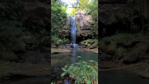 Crooked River Located in Clarendon #shortsvideo #shortsfeed #jamaica #nature #shortviral