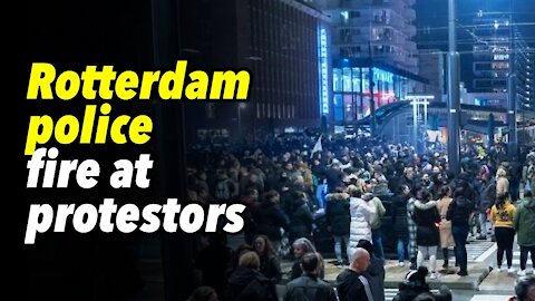 Rotterdam police fire at protestors