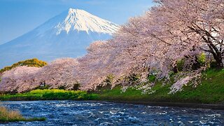Traditional Japanese Music – Sakura Blossoms [2 Hour Version]