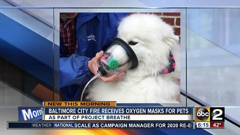 Baltimore City fire houses get oxygen masks for pets