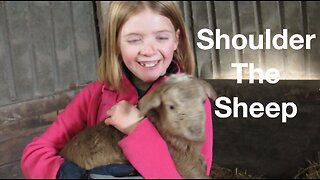 Shoulder The Sheep