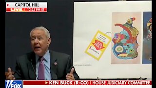 Rep. Ken Buck Rips Apart Hunter Biden Art Scheme