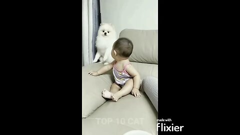 funny cat and baby