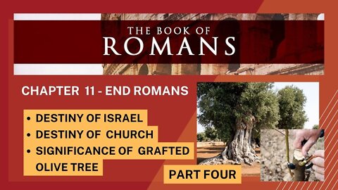 ROMANS PART 4: GRAFTED INTO OLIVE TREE