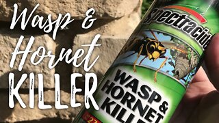 Spectracide Wasp & Hornet Killer Aerosol Spray Review