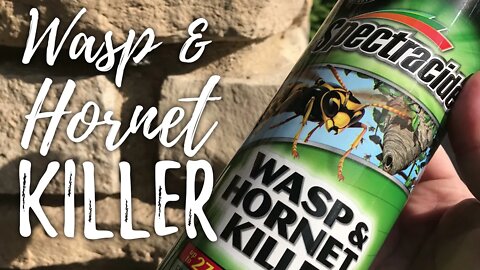 Spectracide Wasp & Hornet Killer Aerosol Spray Review