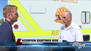 Scorpion sightings rise for pest control companies in Arizona