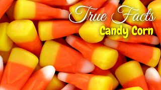 True Facts About The Candy Corn