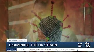 In-Depth: Examining the UK variant of coronavirus