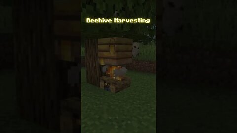 Minecraft Facts - “Chapter 14 - Beehive Hervesting”