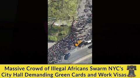 Massive Crowd of Illegal Africans Swarm NYC's City Hall Demanding Green Cards and Work Visas