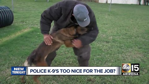 Training police K9s: Can dogs be too nice?
