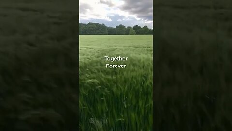 Together Forever Tiktok affectionatefields