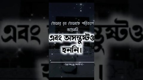 তোমার রব তোমাকে পরিত্যাগ করেনি।