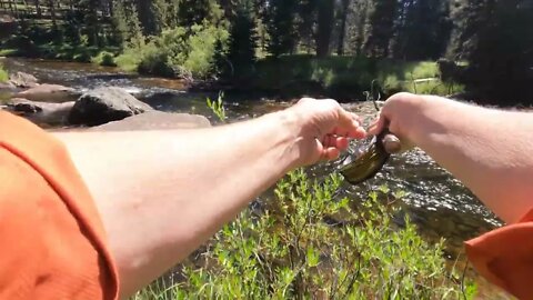 Fly Fishing The Bighorns of Wyoming Aug 22 4K
