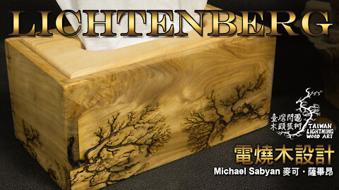 Lichtenberg On A Taiwan Cypress Wood Tissue Box/Ep8