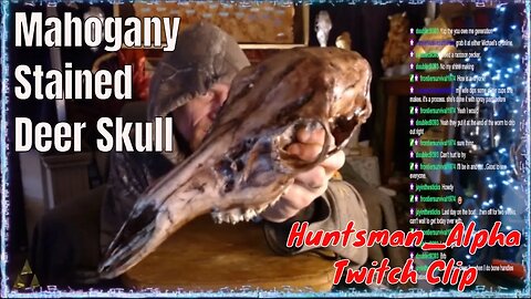 Wood Stained Deer Skull (From The 'Skulls & Skyrim' Twitch Stream)