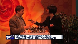 "As Bees in Honey Drown" opens Friday at Farmington Players Barn