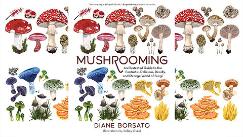 Mushrooming: An Illustrated Guide to the World of Fungi